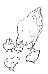 Krippe