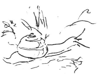 Schnecke