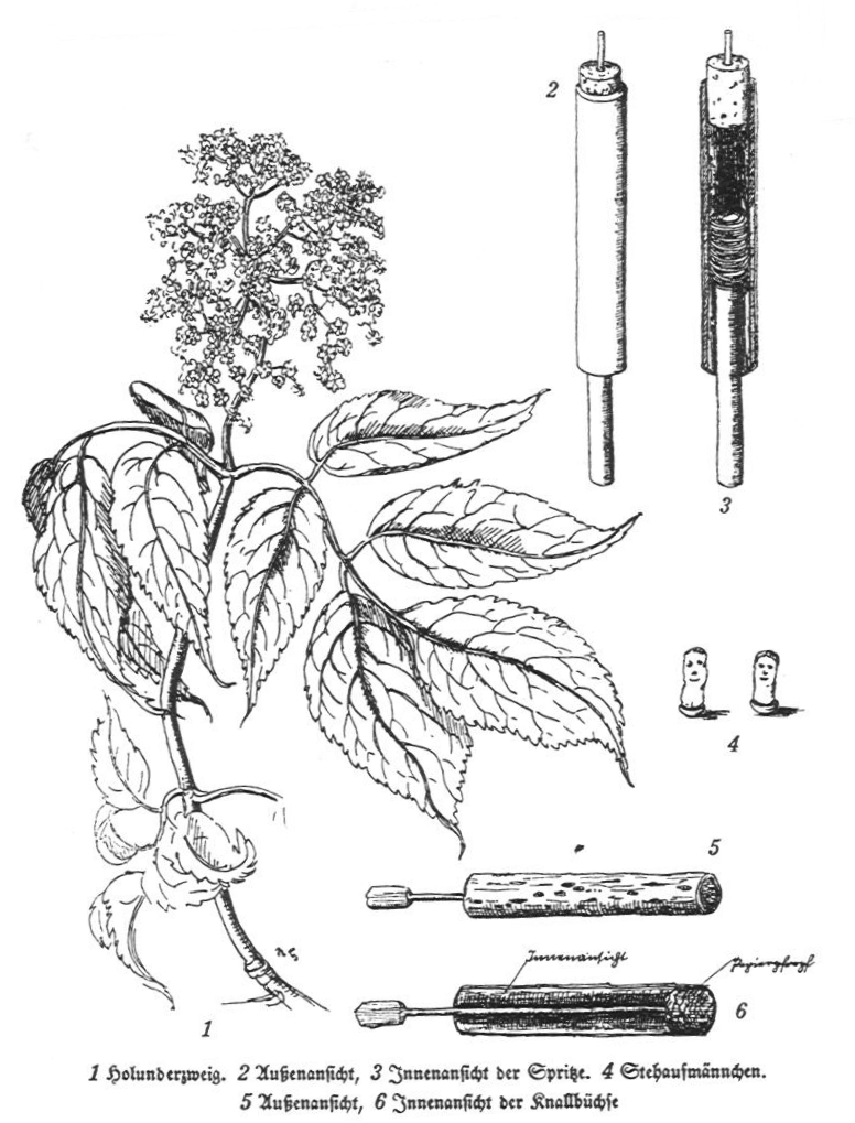 Holunderzweig etc.