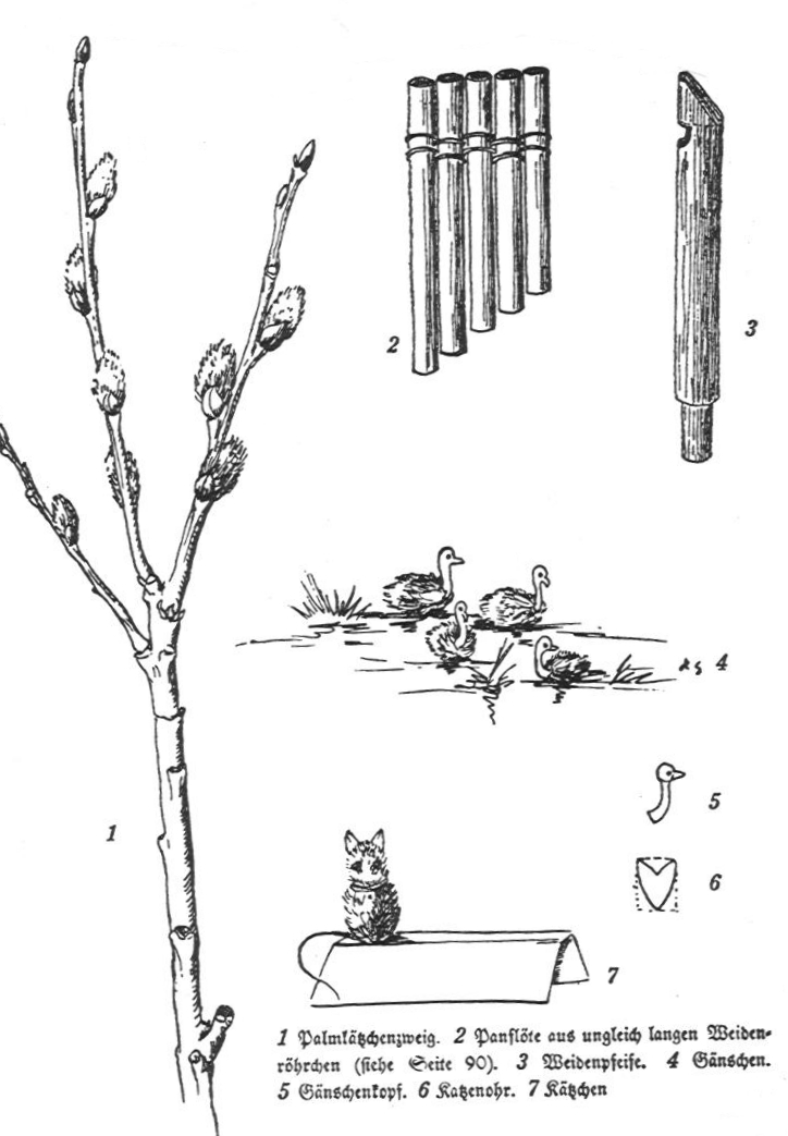 Palmkätzchenzweig etc.