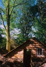 Grubenhaus
