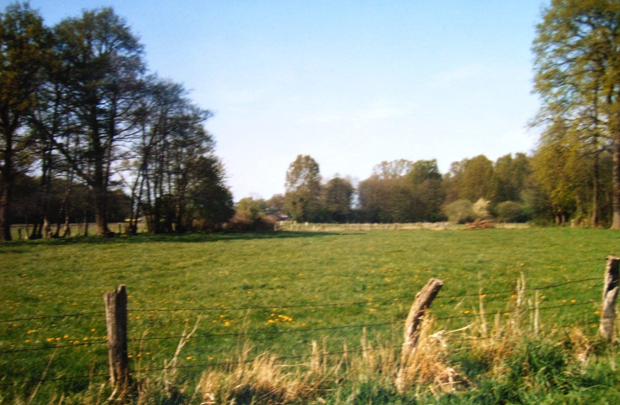 Landschaft